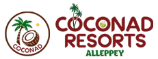 Best International Travel Agency in Kerala
