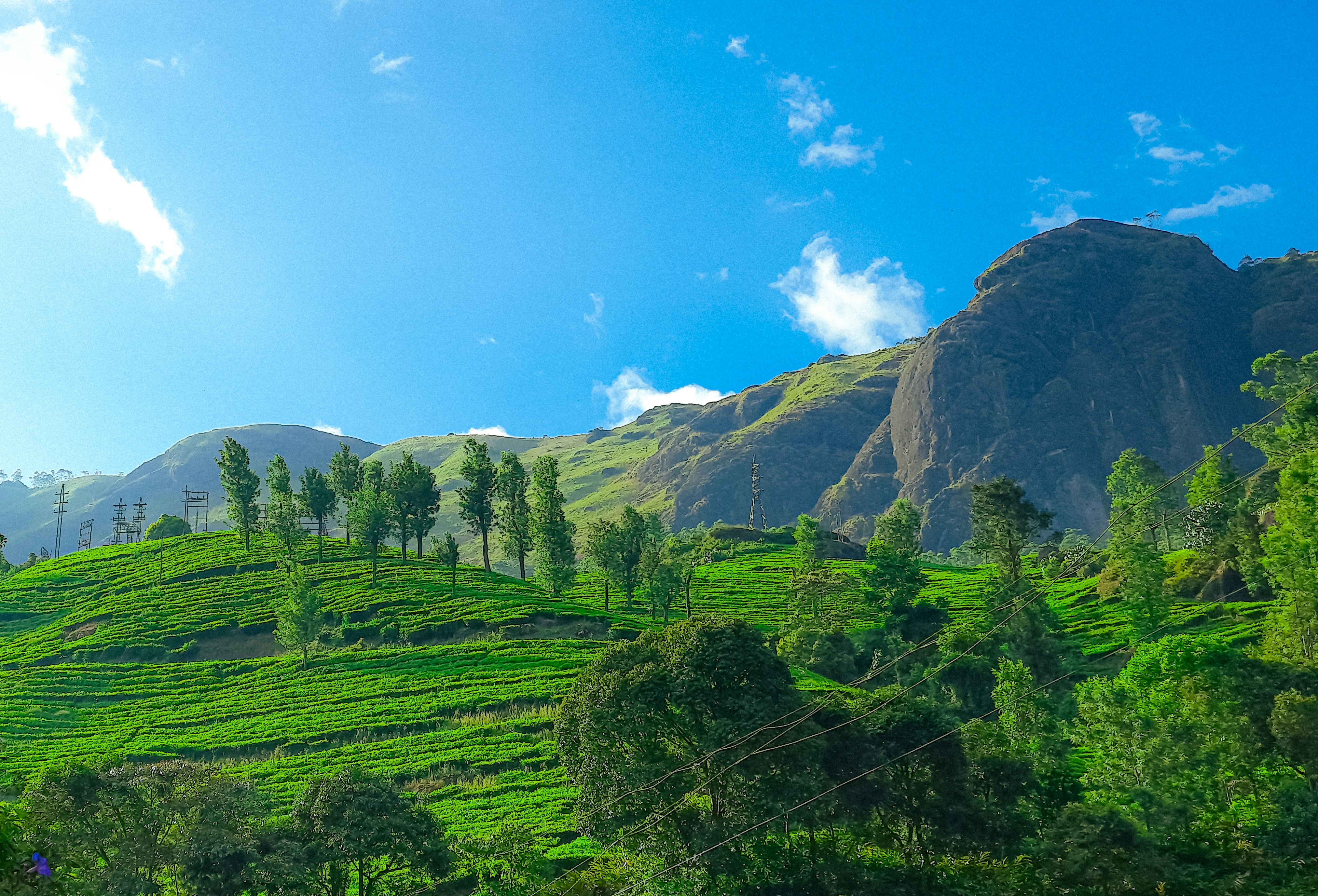 Munnar