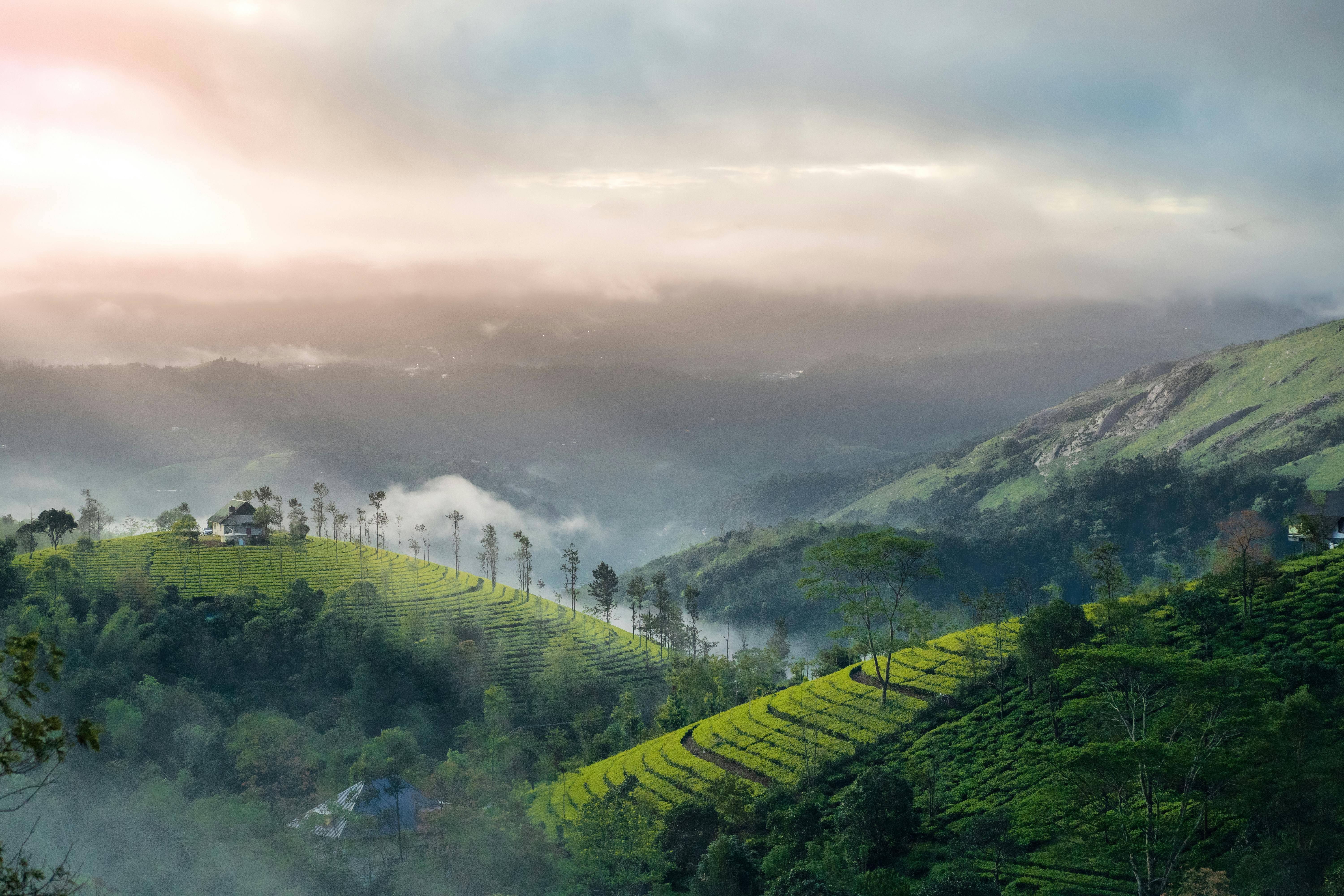 Kerala landscape