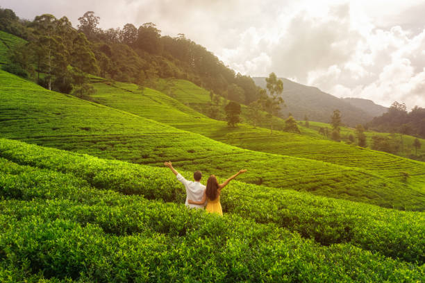 Top-rated travel agencies in Kochi