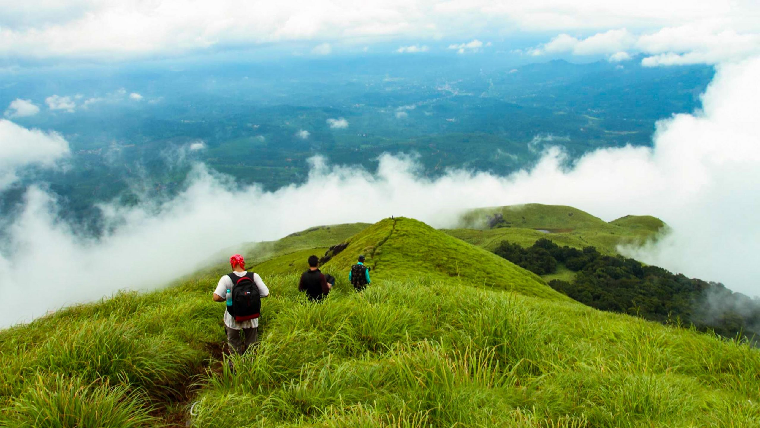 Top-rated travel agencies in Kerala